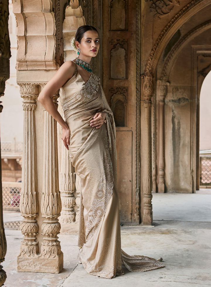 Beige Embroidered Georgette Saree