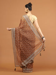 Sequence Embroidery Tissue Saree