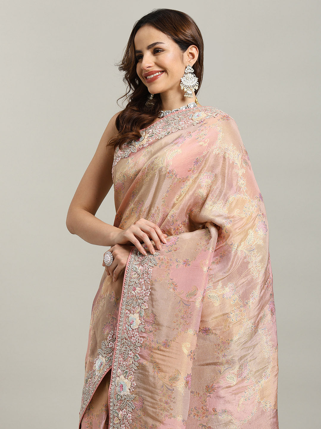 Sequin Embroidered Border Tissue Saree
