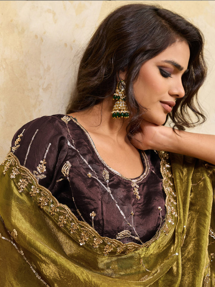 Embroidered Satin Velvet Saree
