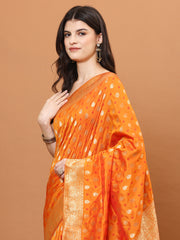 Zari Jaal Embroidery Banarasi Saree