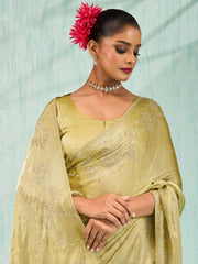 Embroidered Chiffon Saree