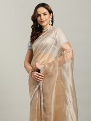 Sequence Embroidery Tissue Saree