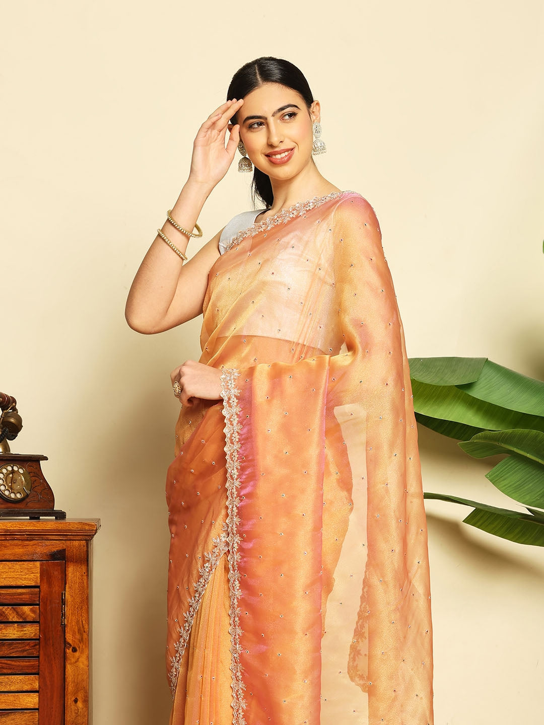 Cut Work &amp; Stone Embellished Tissue Saree
