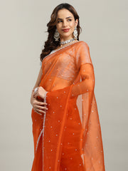 Sequence Embroidery Tissue Saree