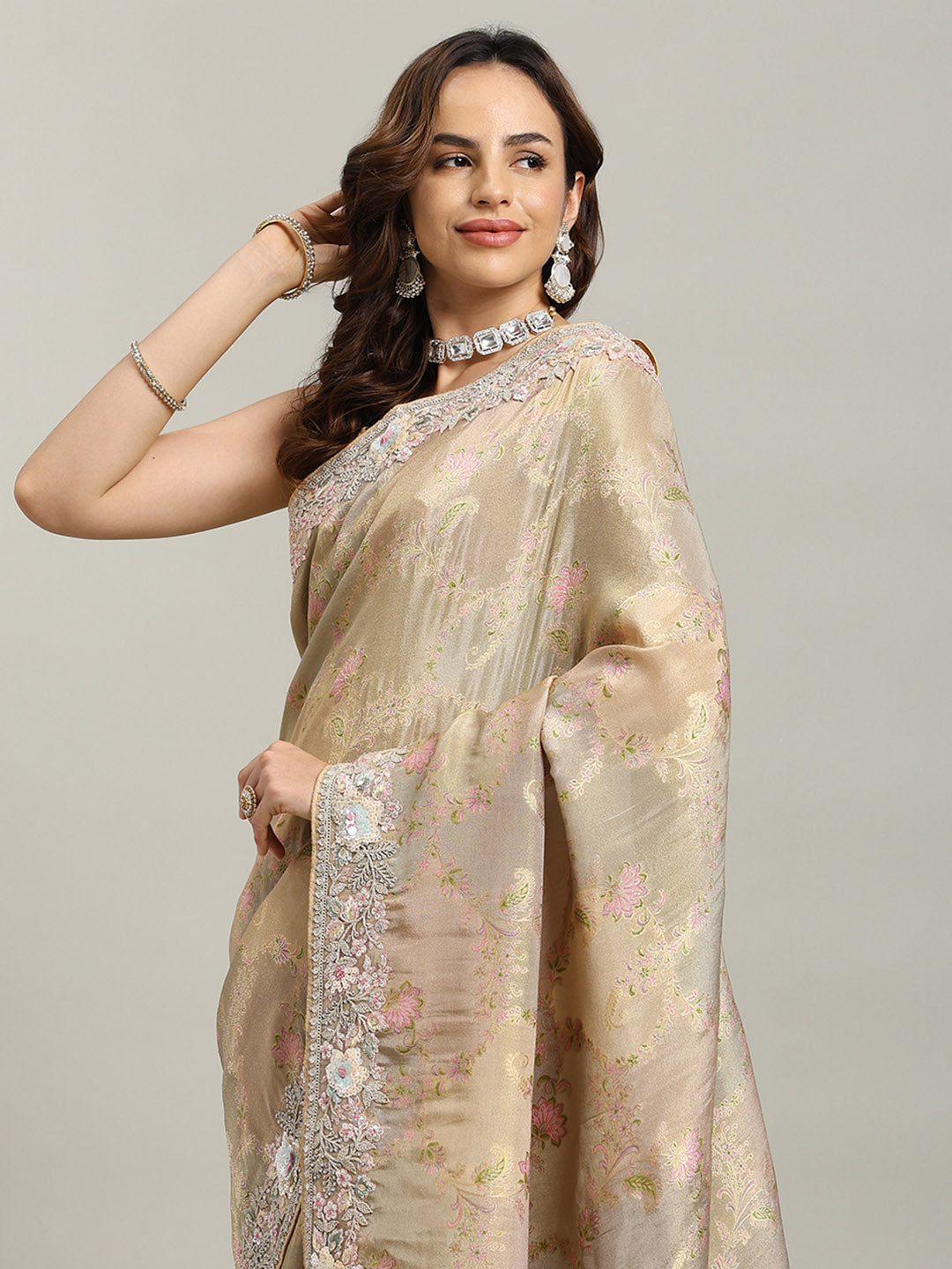 Sequin Embroidered Border Tissue Saree