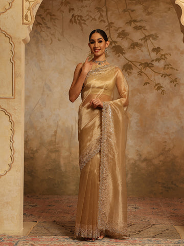 Sequin Embroidery Organza Tissue Saree