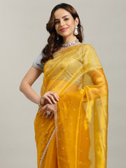 Sequence Embroidery Tissue Saree