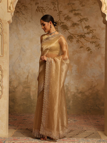 Sequin Embroidery Organza Tissue Saree