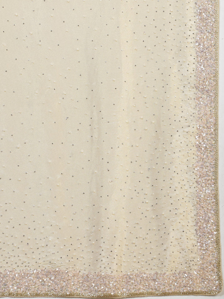 Sequence Embroidery Tissue Saree