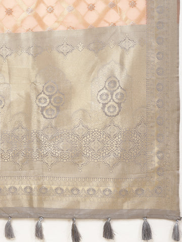 Zari Jaal Embroidered Organza Woven Saree