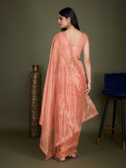 Sequin Embroidery Tissue Saree