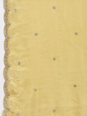 Stone Embroidery Tissue Saree