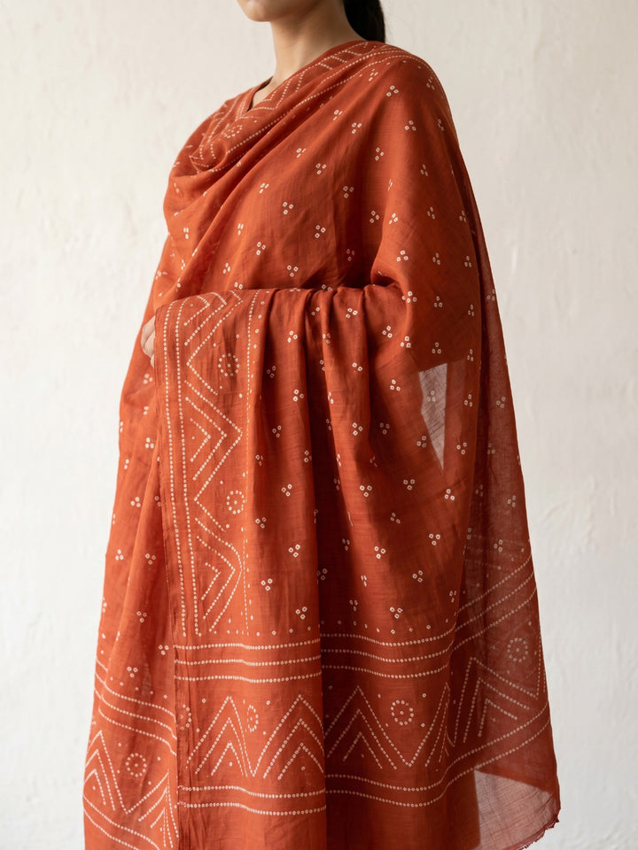 Rust Embroidered Cotton Blend Straight V Neck Suit Set