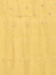 Sequence Embroidery Tissue Saree