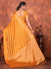 Stone Embroidery Organza Saree