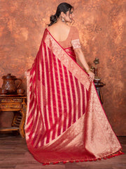 Stone Embroidery Organza Saree