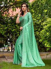 Embroidered Chiffon Saree