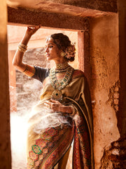 Zari Jaal Dola Handloom Saree