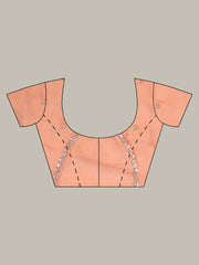 Sequence Embroidery Tissue Saree