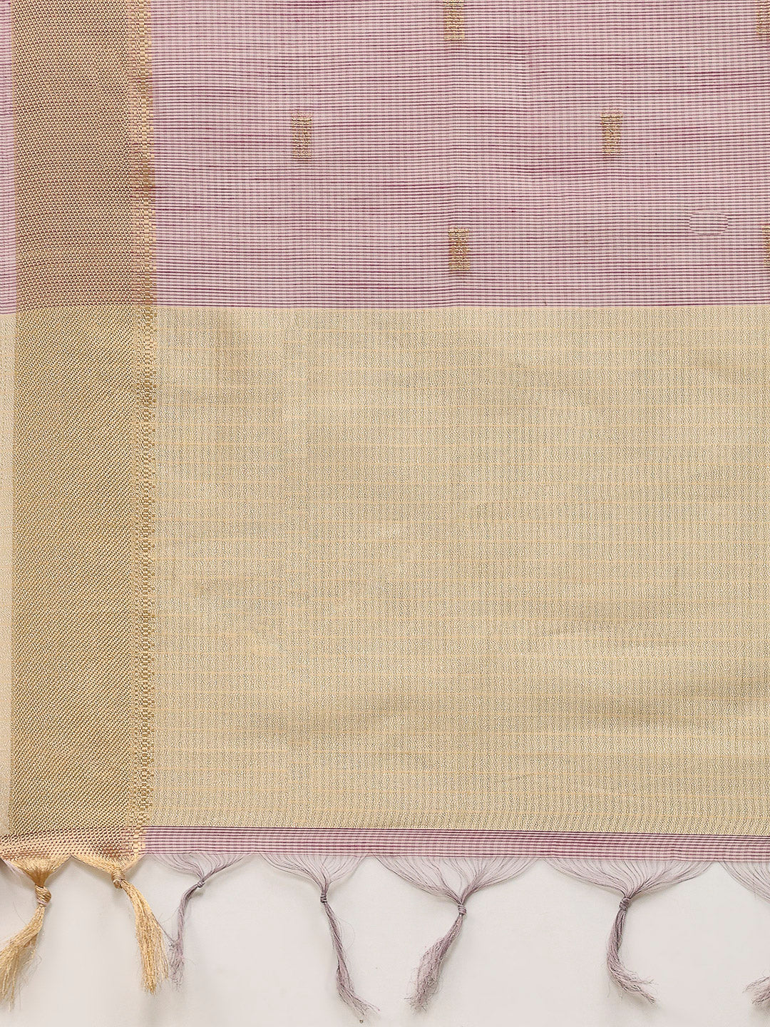 Embroidered Tissue Saree
