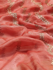 Embroidery Border Organza Saree