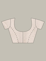 Sequence Embroidery Tissue Saree