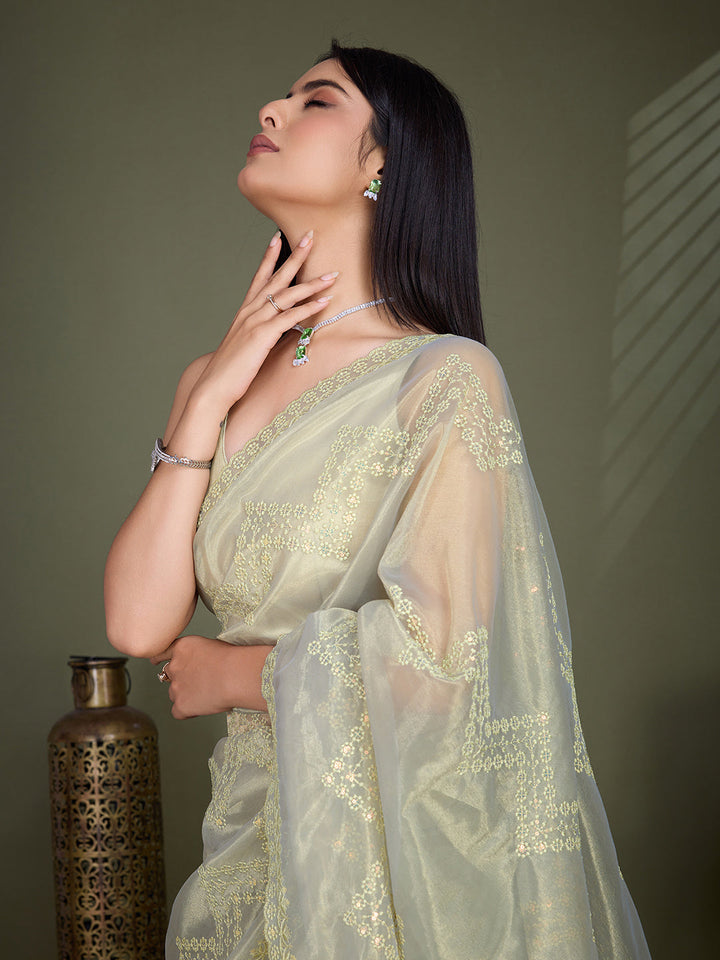 Embroidered Net Saree