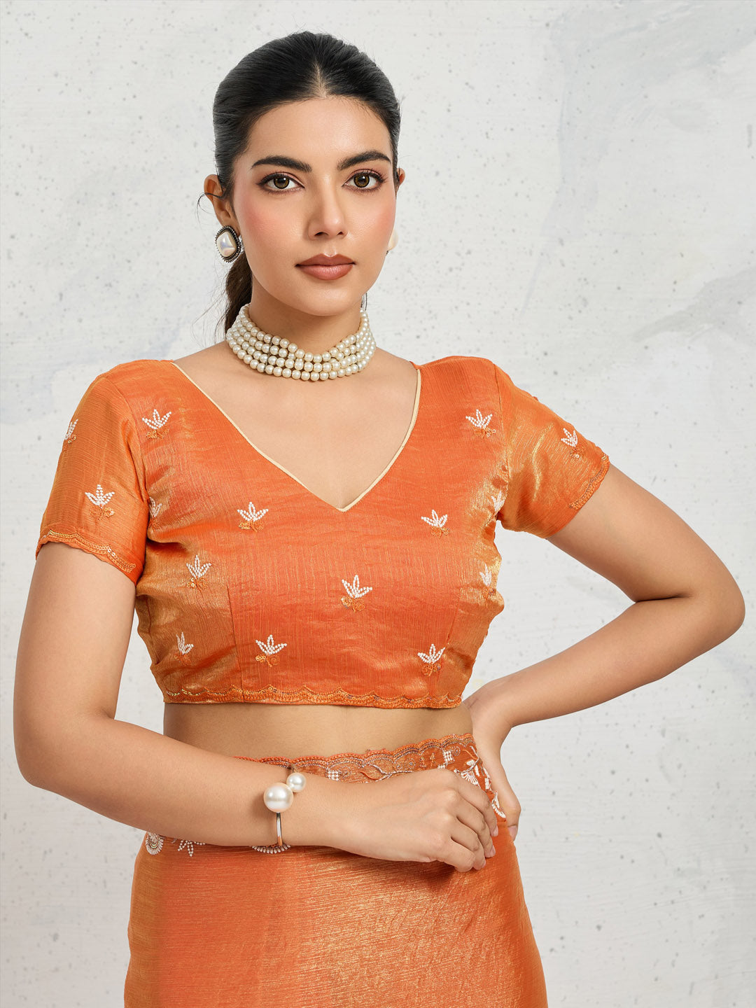 Embroidered Chiffon Saree