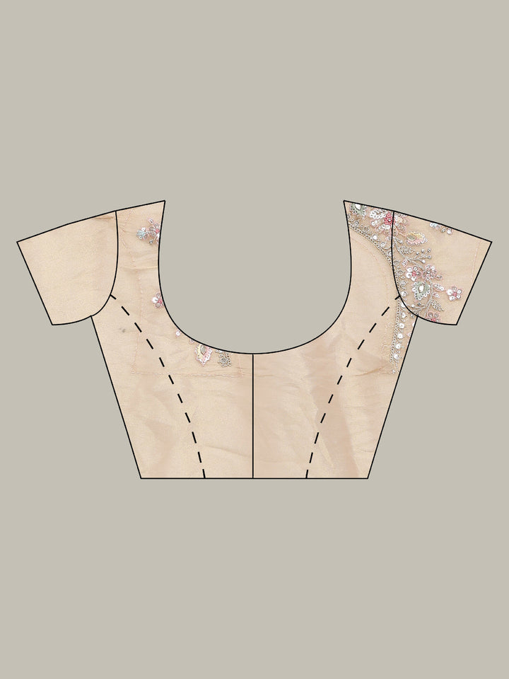 Sequin Embroidered Border Tissue Saree