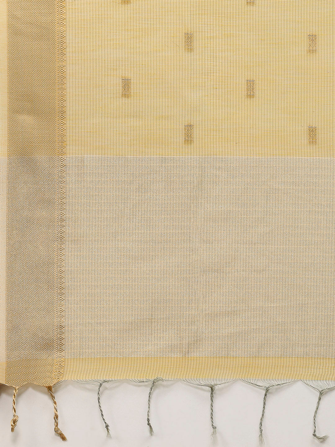 Embroidered Tissue Saree
