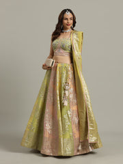 Multi Kali Tissue Choli With Lehenga & Dupatta