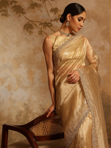 Sequin Embroidery Organza Tissue Saree