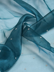 Sequence Embroidery Tissue Saree