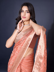 Sequence Embroidery Tissue Saree