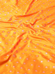 Stone Embroidery Banarasi Saree