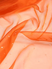 Sequence Embroidery Tissue Saree