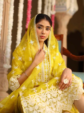 Embroidered Organza Kurta With Pants & Dupatta