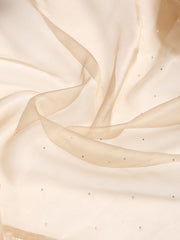 Sequence Embroidery Tissue Saree