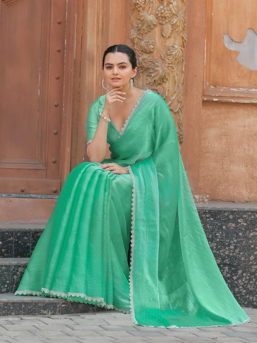 Cutdana Embroidery Organza Saree