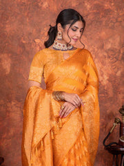 Stone Embroidery Organza Saree