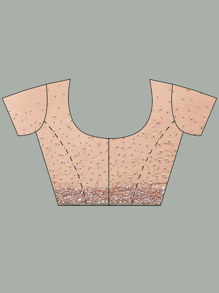 Stone Embroidered Tissue Saree