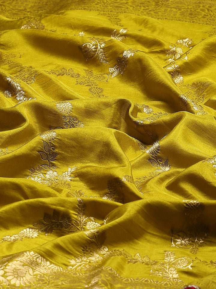 Embroidered Dola Silk Saree