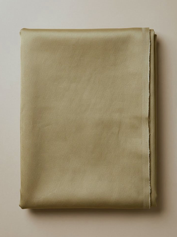 Beige Organza Embroidered Unstitched Dress Material