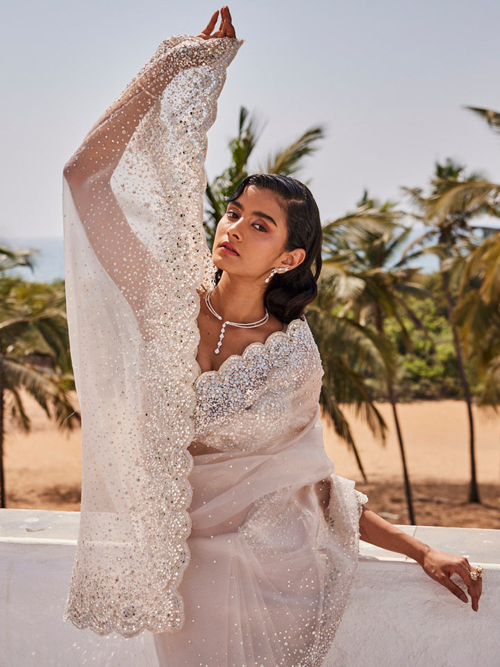 Sequin Work Tissue Saree