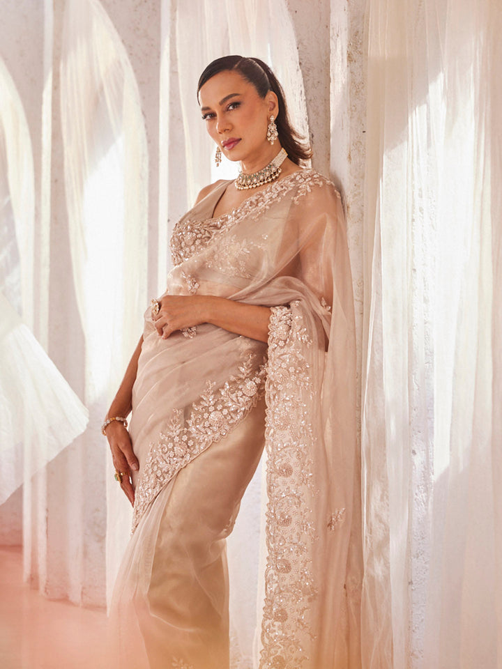 Sequin Border Work Tissue Saree