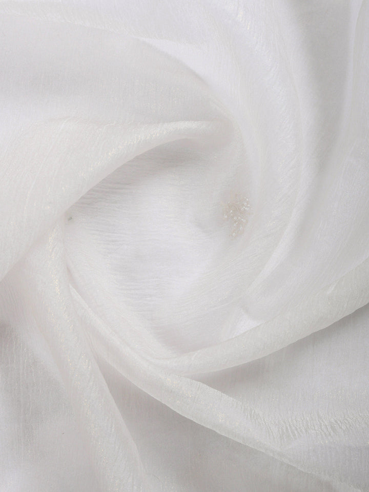 Cream Embroidered Organza Saree