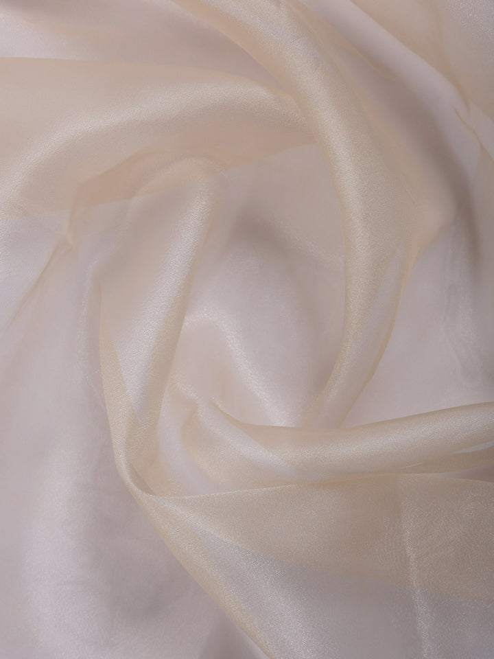 Cream Embroidered Organza Saree