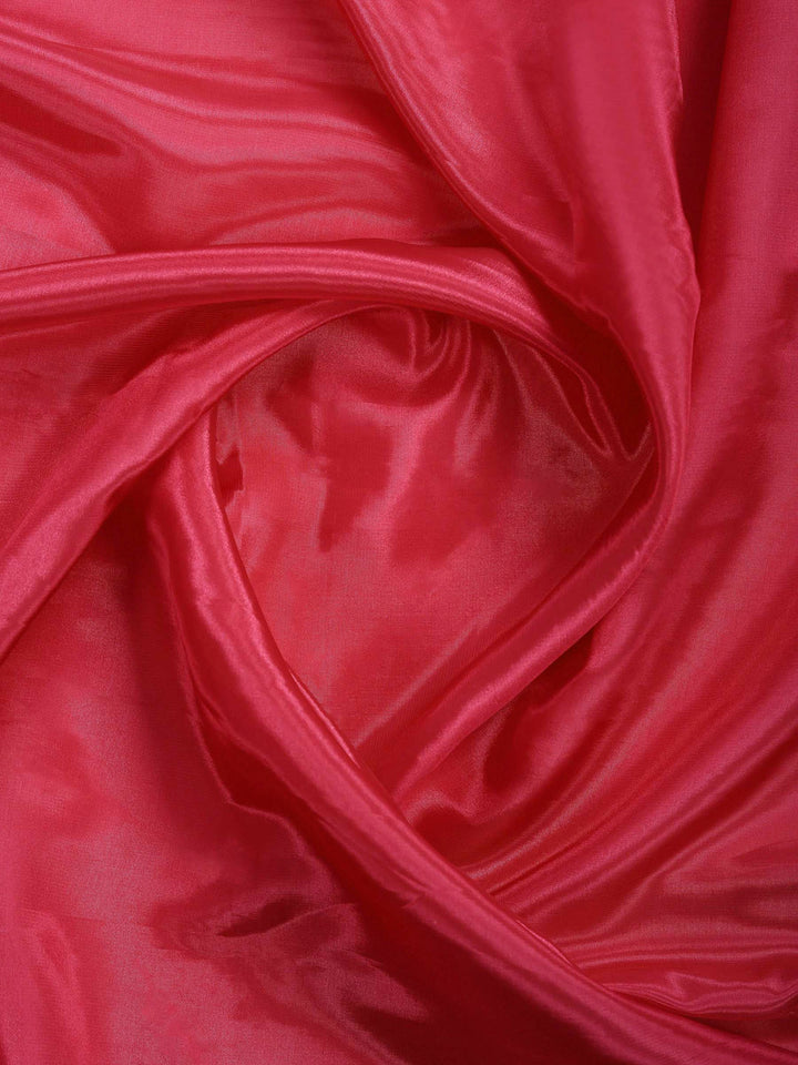 Rani Embroidered Organza Saree