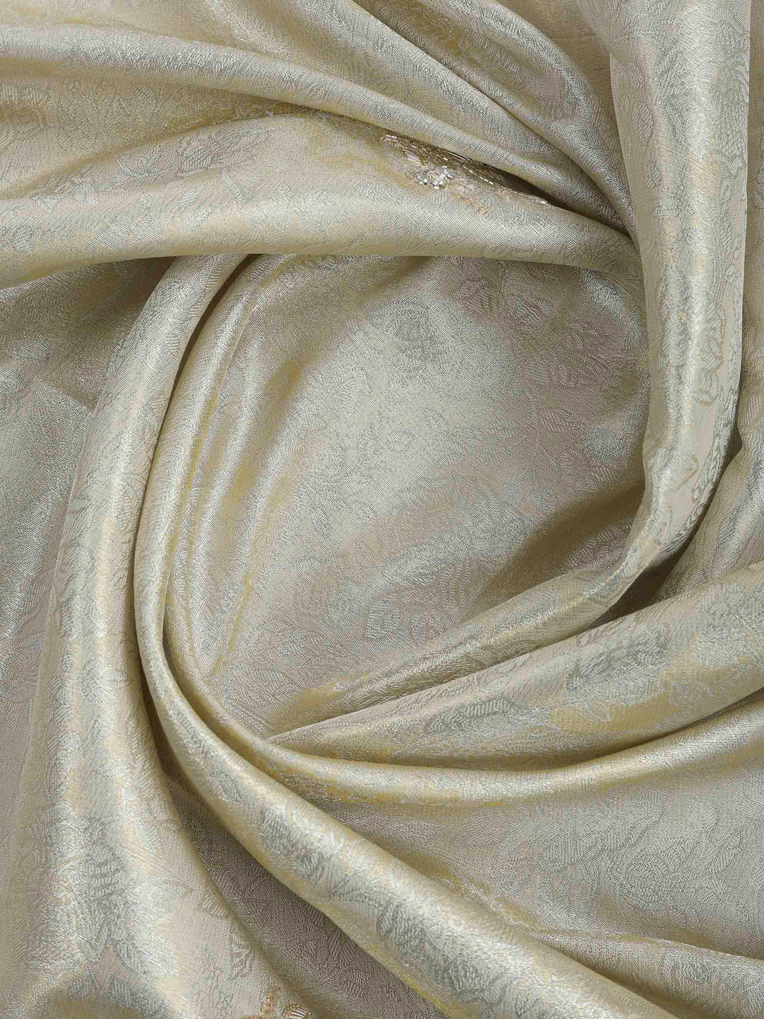 Beige Embroidered Tissue Saree